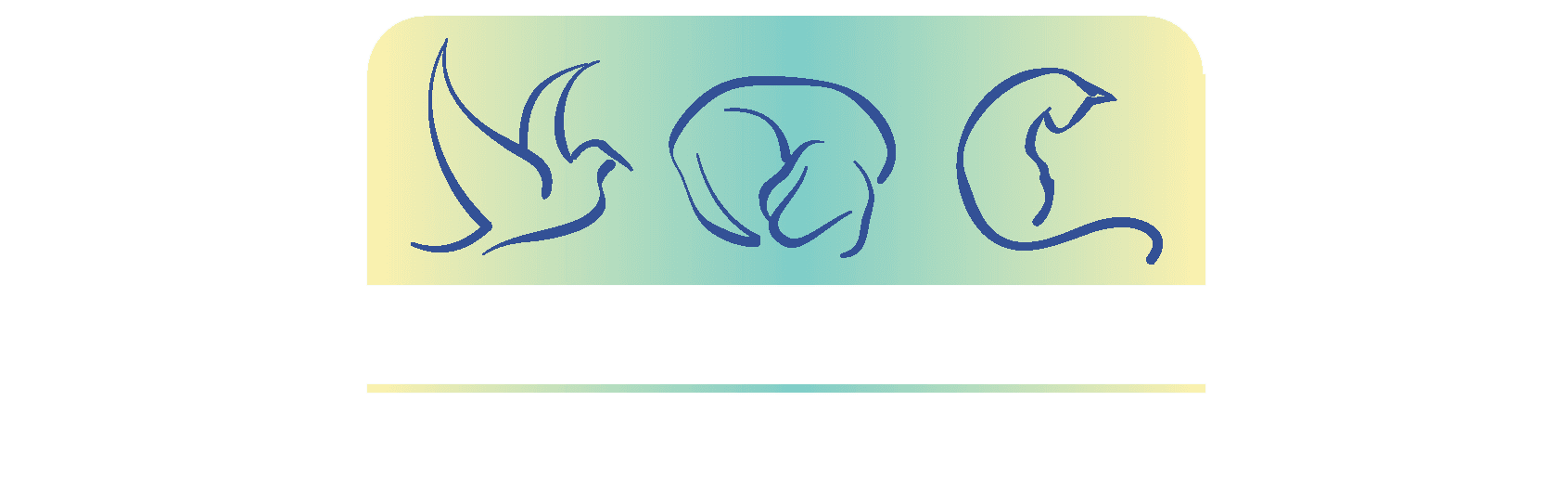 Veterinary Oncology Consultants